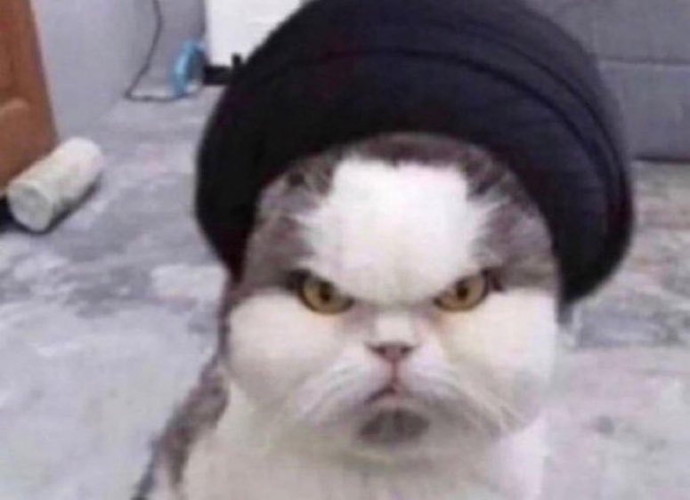 Az6521's tweet image. ذوليك الحين 
 #قطر_ايران