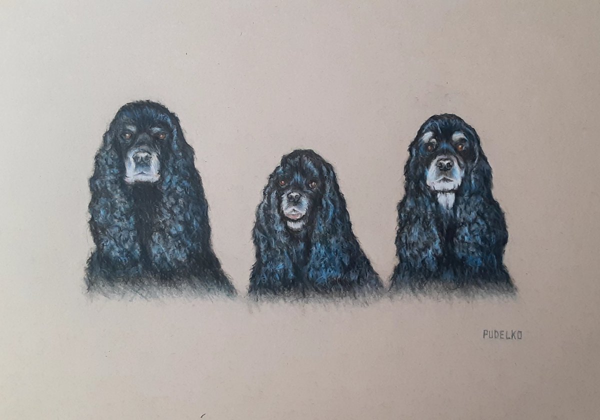 OfPudelko's tweet photo. Just finished ✍🏻 
The 3 Gals 🎨 #petportraitartist #petportraitdrawing #petportraitcommission #dogs #dogs #art #petartist https://t.co/0RvcKsFDcj