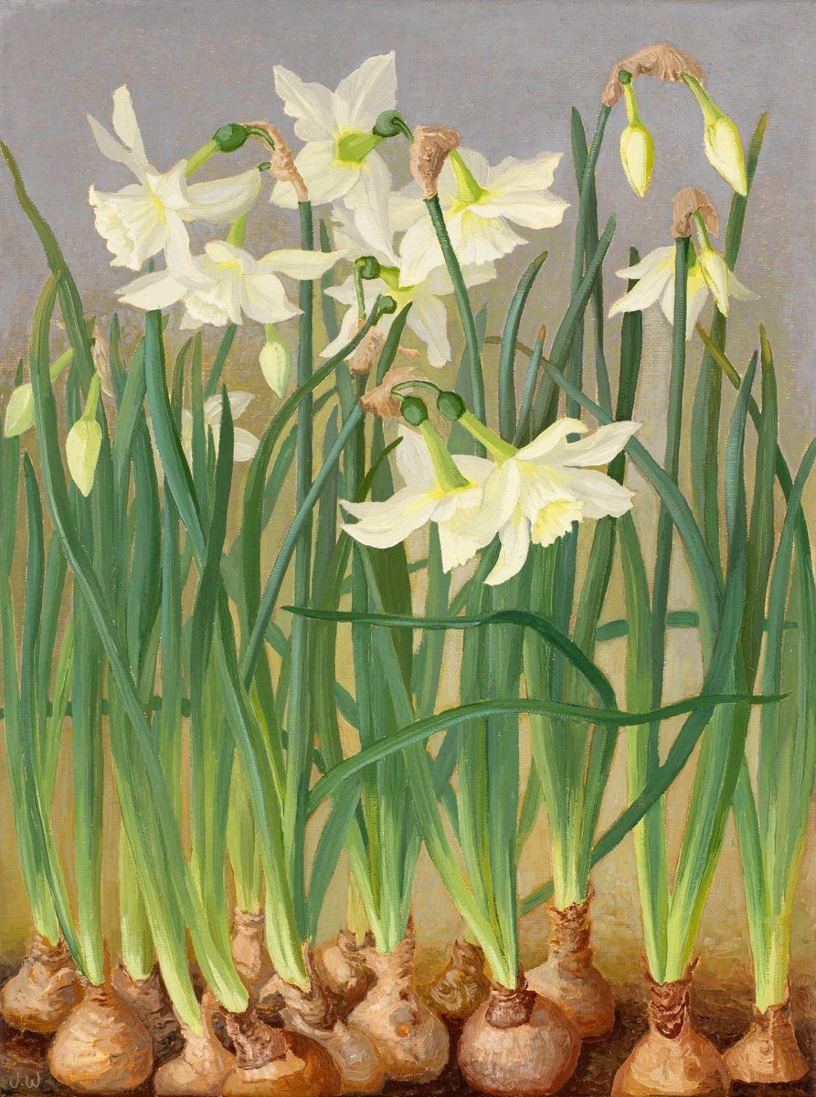 Good Afternoon These are so pretty and the yellow feels necessary, it’s so dismal out with a threat of snow Jane Wormell Narcissi