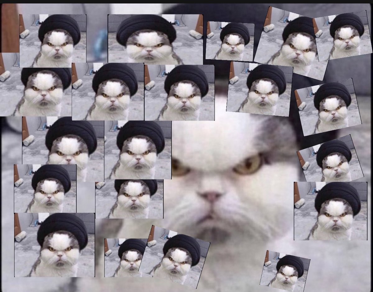 Faisal 🐺 tweet media