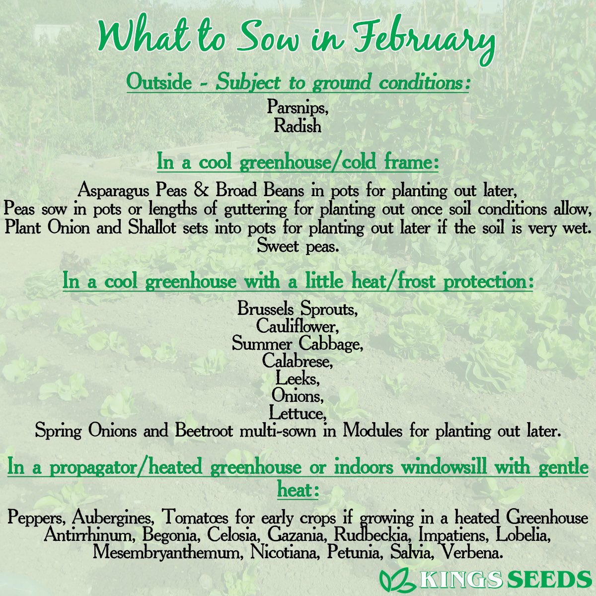 Here’s a list of some vegetable and flower seeds that can sown this month!🌱 #whattosow #februarygardening #inthegarden #growyourown