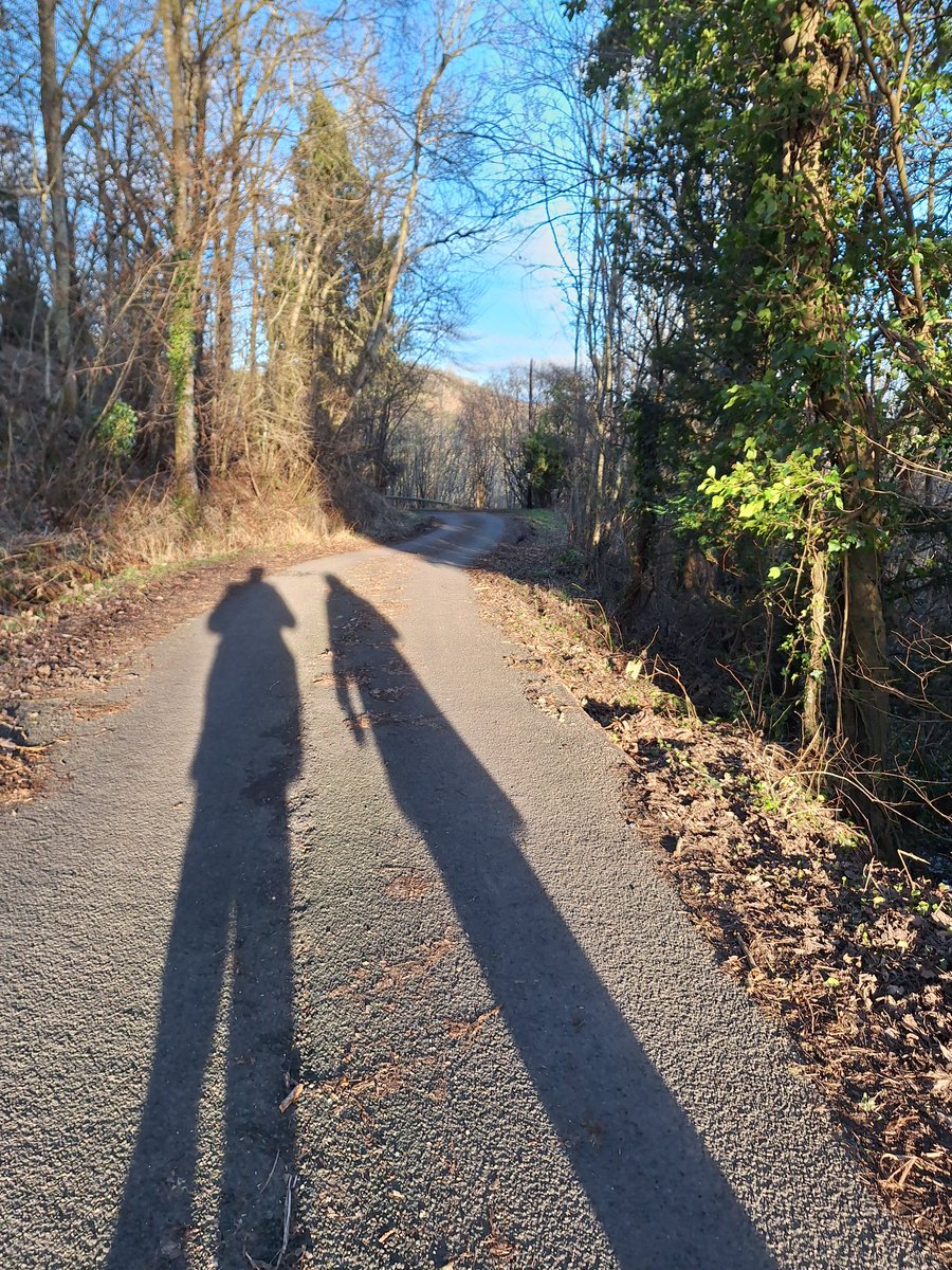 A privilege to be a clinical supervisor and have the opportunity to take a deep dive into a difficult experience with this colleague in the sunshine. Walking side by side in nature helped to open up our dialogue and identify the next steps. 
#clinicalsupervision
#nhsborders