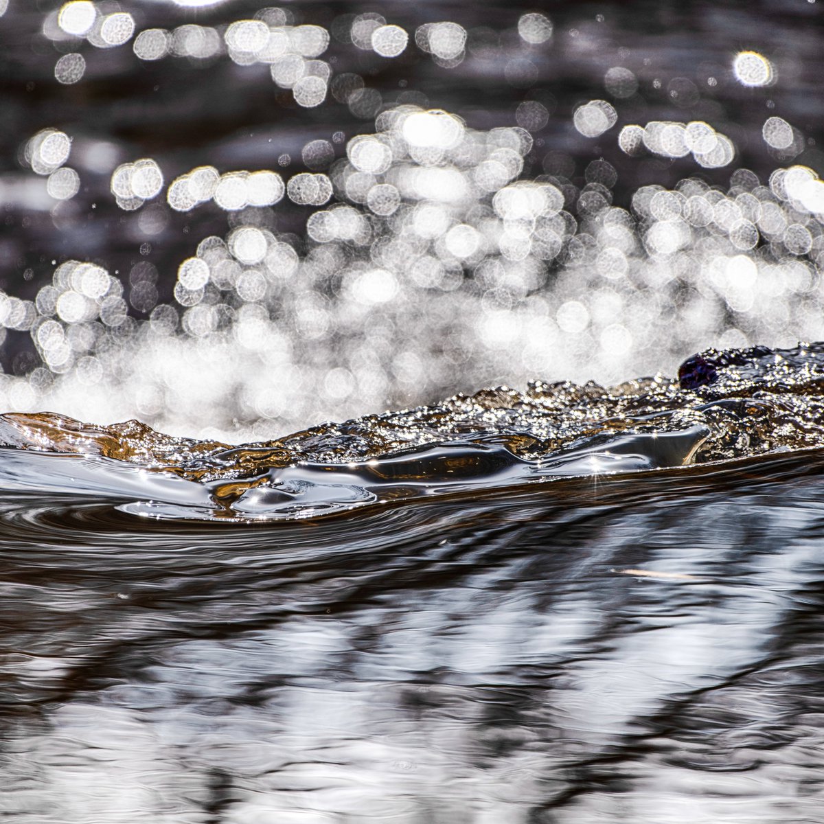 Moving water - over a weir in Littleborough.