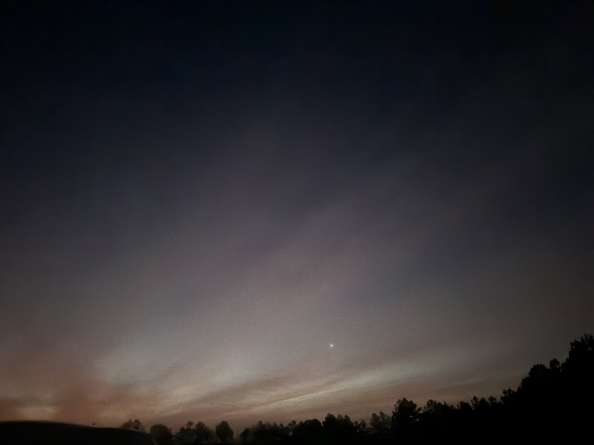 tanderson95246's tweet photo. My morning #photograghy https://t.co/274UlAlqki