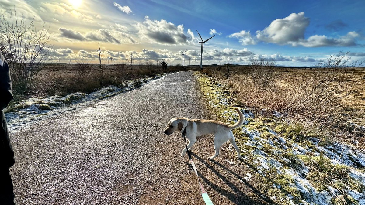 CGA_Kev's tweet photo. Wonderful afternoon making the most of winter sunshine and a random day off with dad and @LabPupCooper exploring @Visit_Whitelee and doing a spot of geocaching 🤙 #RestDaysBestDays #FamilyTime https://t.co/PI8MvpK1ZY