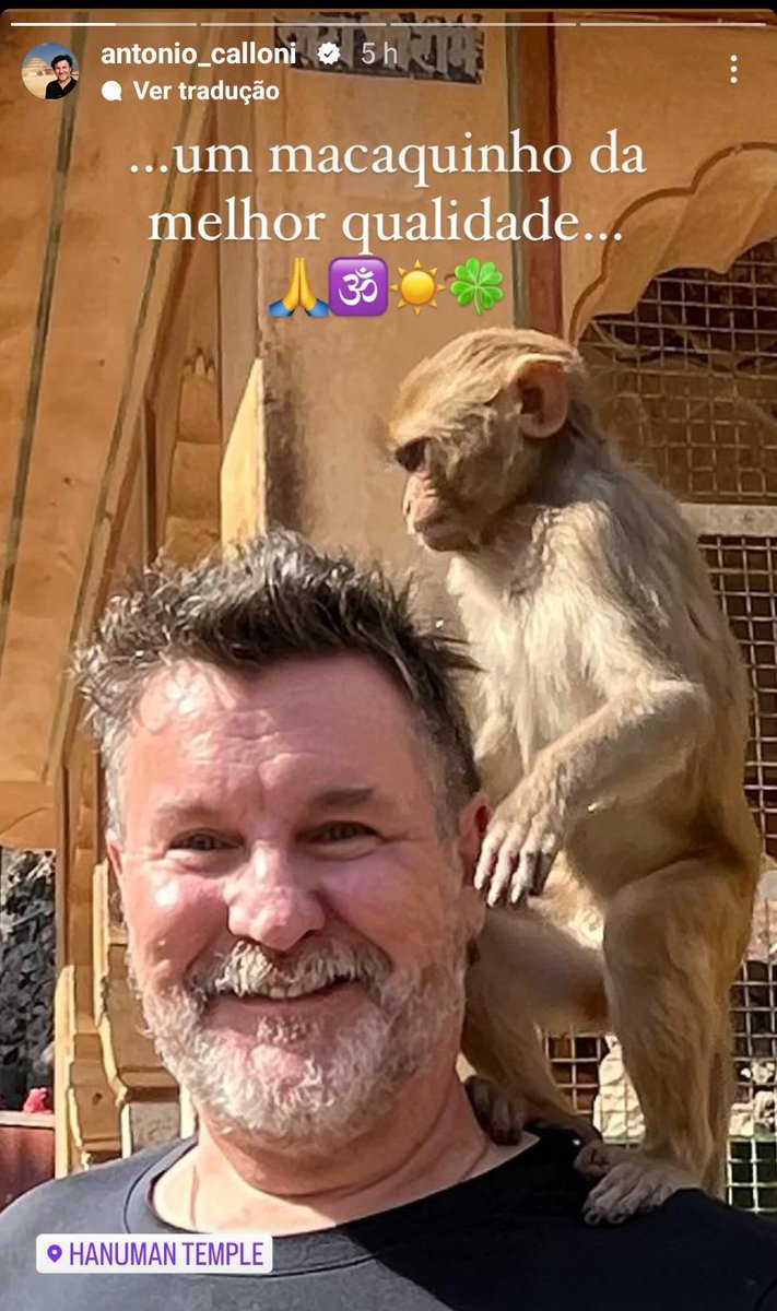 acervonovelas's tweet photo. antônio calloni via story https://t.co/yBffI3VMHb