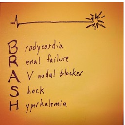 If your patient’s vitals start to crash with #bradycardia and #hypotension, think of #BRASHsyndrome. @M_lin says BRASH can worsen #hyperkalemia and cause renal failure. Here’s how to treat it. tinyurl.com/ytdar6ef #FOAMed