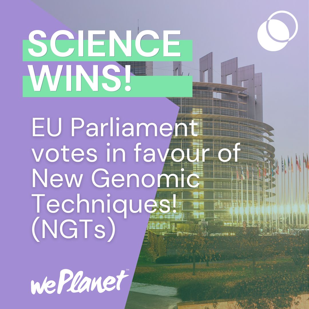 Science wins! MEPs vote in favour of supporting greater use of New Genomic Techniques (#NGTs) in the EU. This is a huge step toward more sustainable agriculture. Thank you to everyone who has taken action toward this outcome. 💚🎉