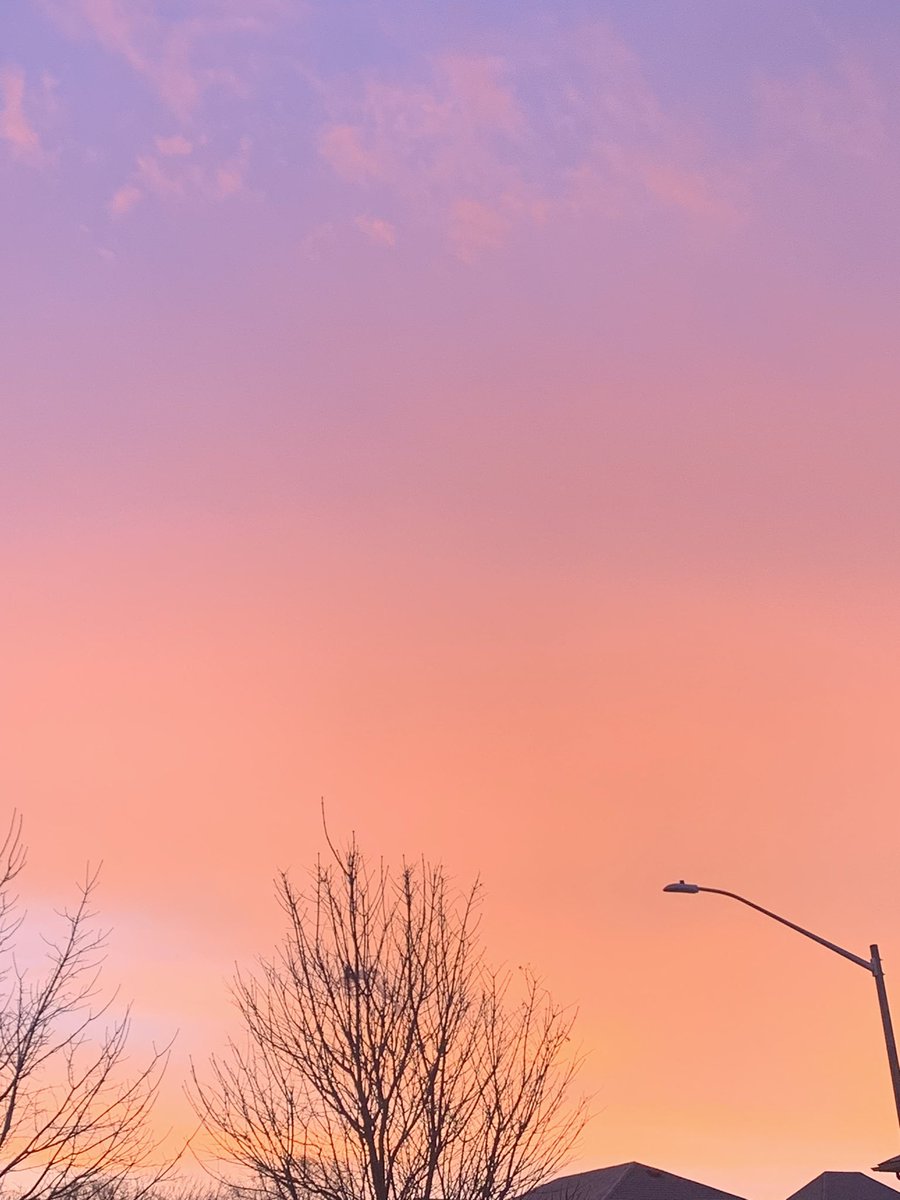 Meghan Norris tweet media