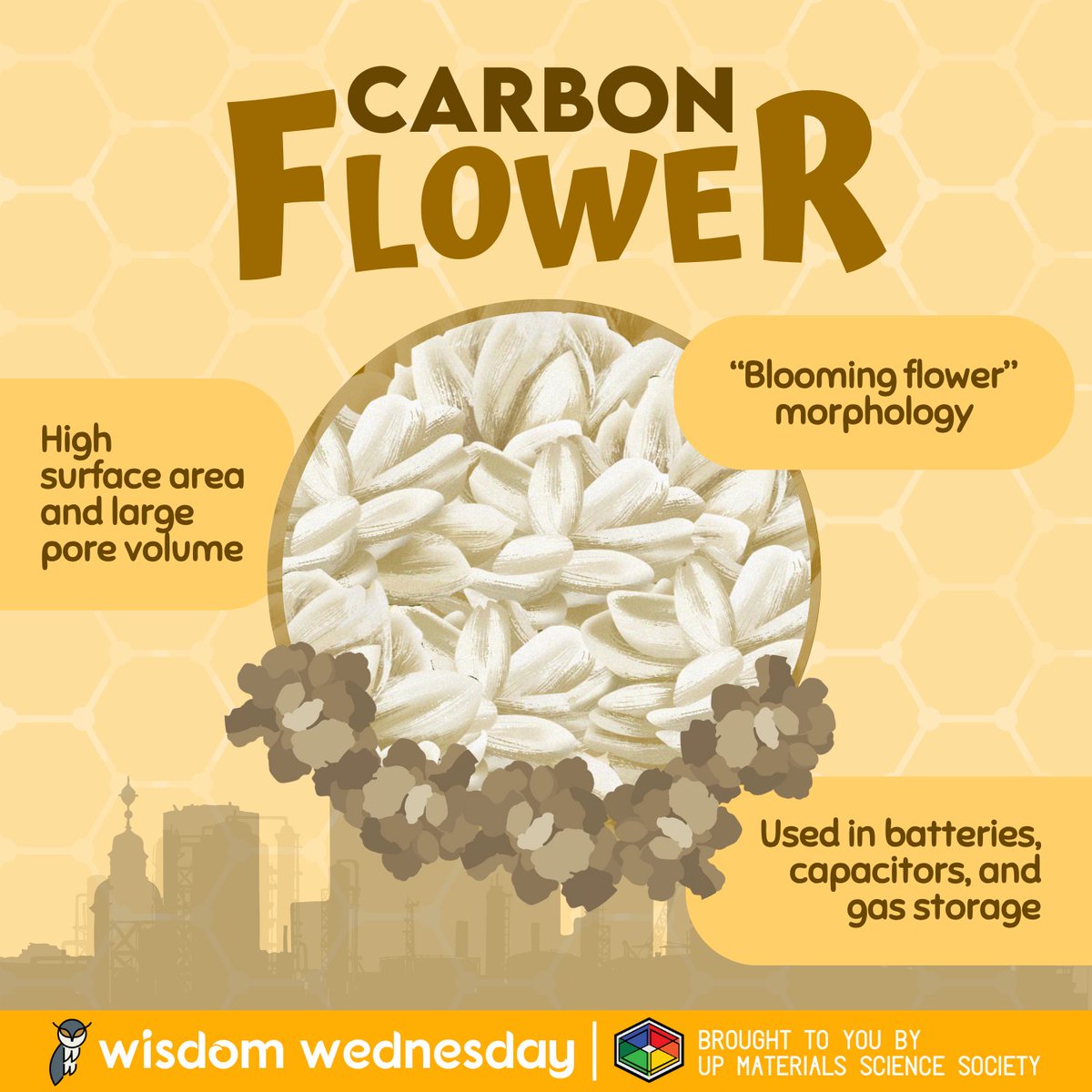 Blooming your way! Discover how carbon flowers show promise in energy storage and more in this week’s Wisdom Wednesday! READ MORE: tinyurl.com/WW2324-28 #WisdomWednesday #MaterialsScience #Nanostructures #Carbon