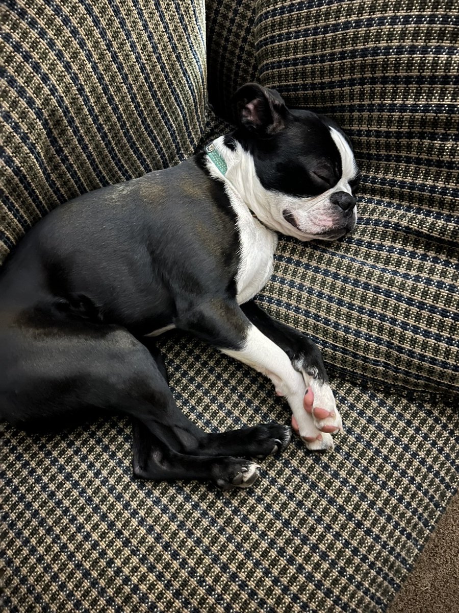 DebNelson74's tweet photo. @KwikTrip Here’s Louie! Whatcha got for him? https://t.co/TJFglrVyKP