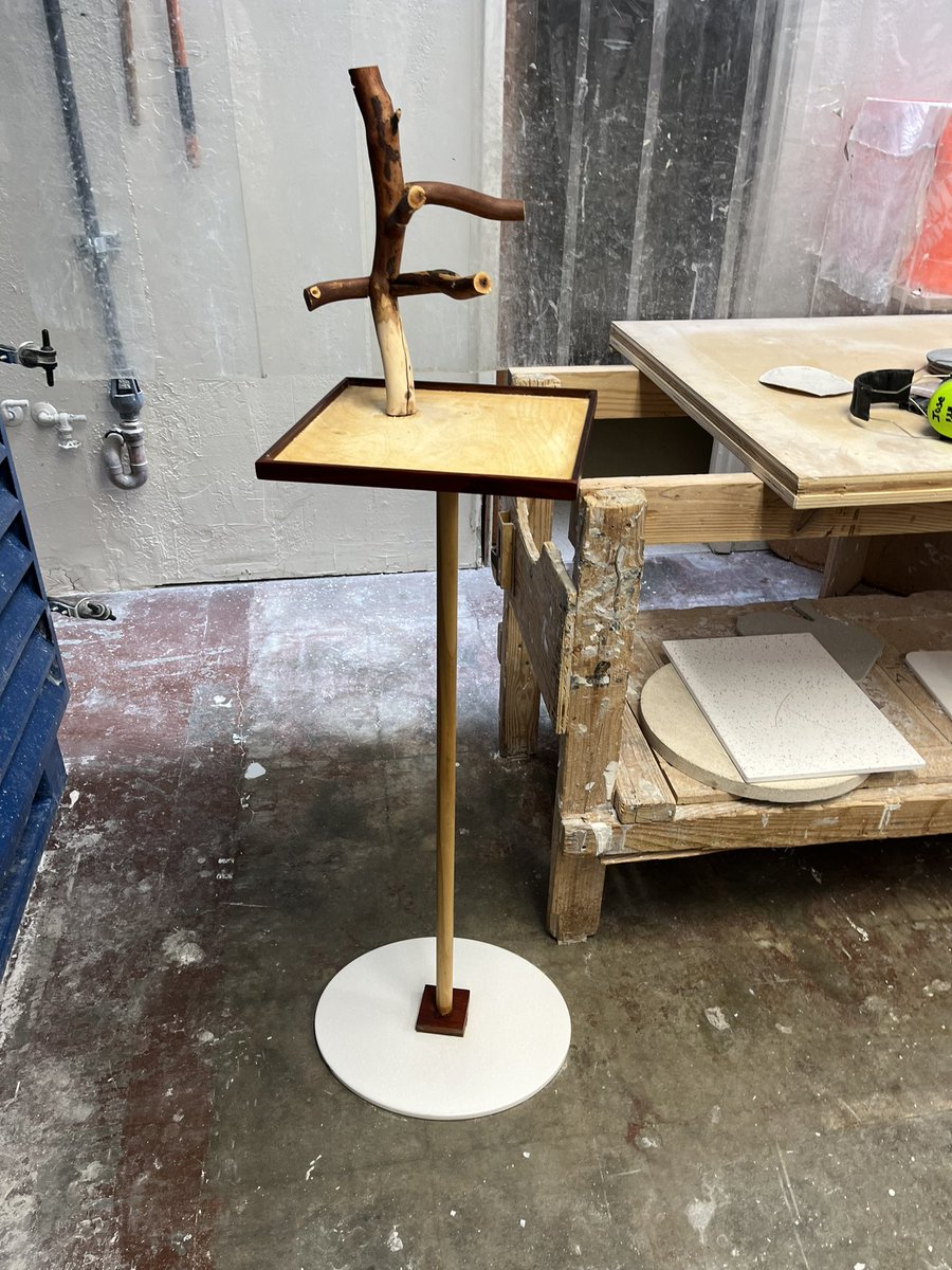 Joys of making something for an animal. Family friends conure chillen on his new stand