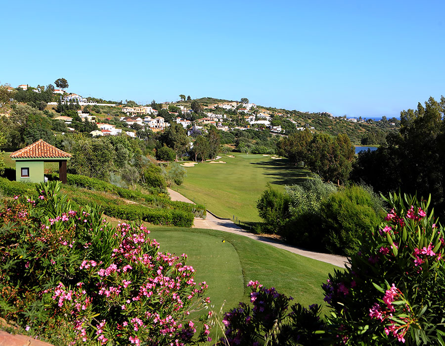 ⛳️ <a href="/valleromanogolf/">Valle Romano Golf</a> , primer campo en adherirse a la #AECG en 2024, sumándose a los más de 200 campos que integran la Asociación.

De 18 hoyos y situado en la Costa del Sol, es obra del prestigioso diseñador americano Cabell B. Robinson.

Más info ➡️ bit.ly/3UrX6XN