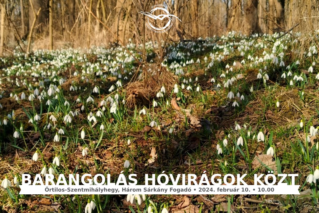 🥾 Szombaton hóvirágok között barangolhatunk!
🖱️ facebook.com/events/8964472…
