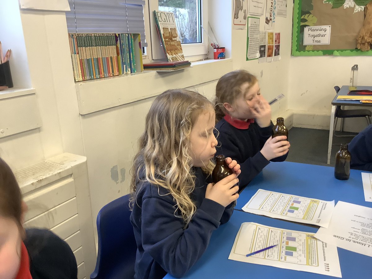 Hendrefoilan's tweet photo. For missions this week SeaOtters investigated how instruments make different pitched sounds. #hdfpSaW #hdfpSO https://t.co/uugF6WMLnV