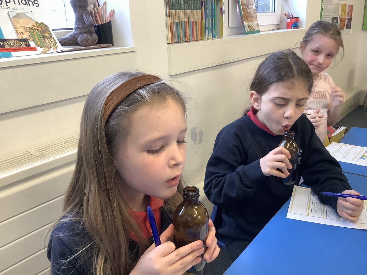 Hendrefoilan's tweet photo. For missions this week SeaOtters investigated how instruments make different pitched sounds. #hdfpSaW #hdfpSO https://t.co/uugF6WMLnV