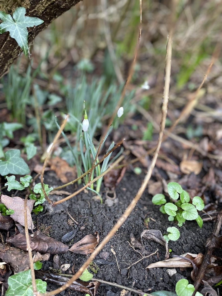 #Spring is nearly here