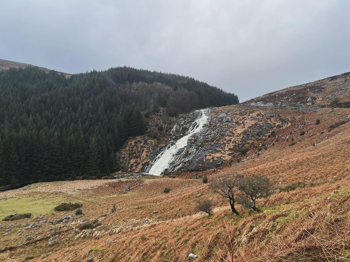 Hugh Jackman tweet media