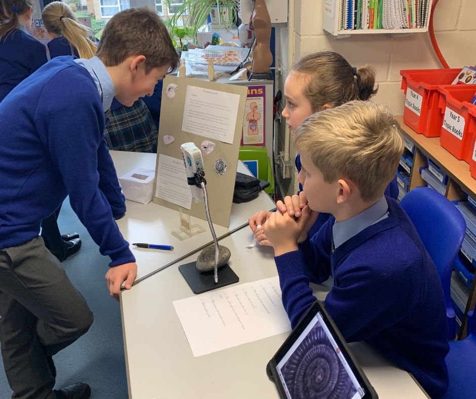 Micklefield School Reigate tweet media