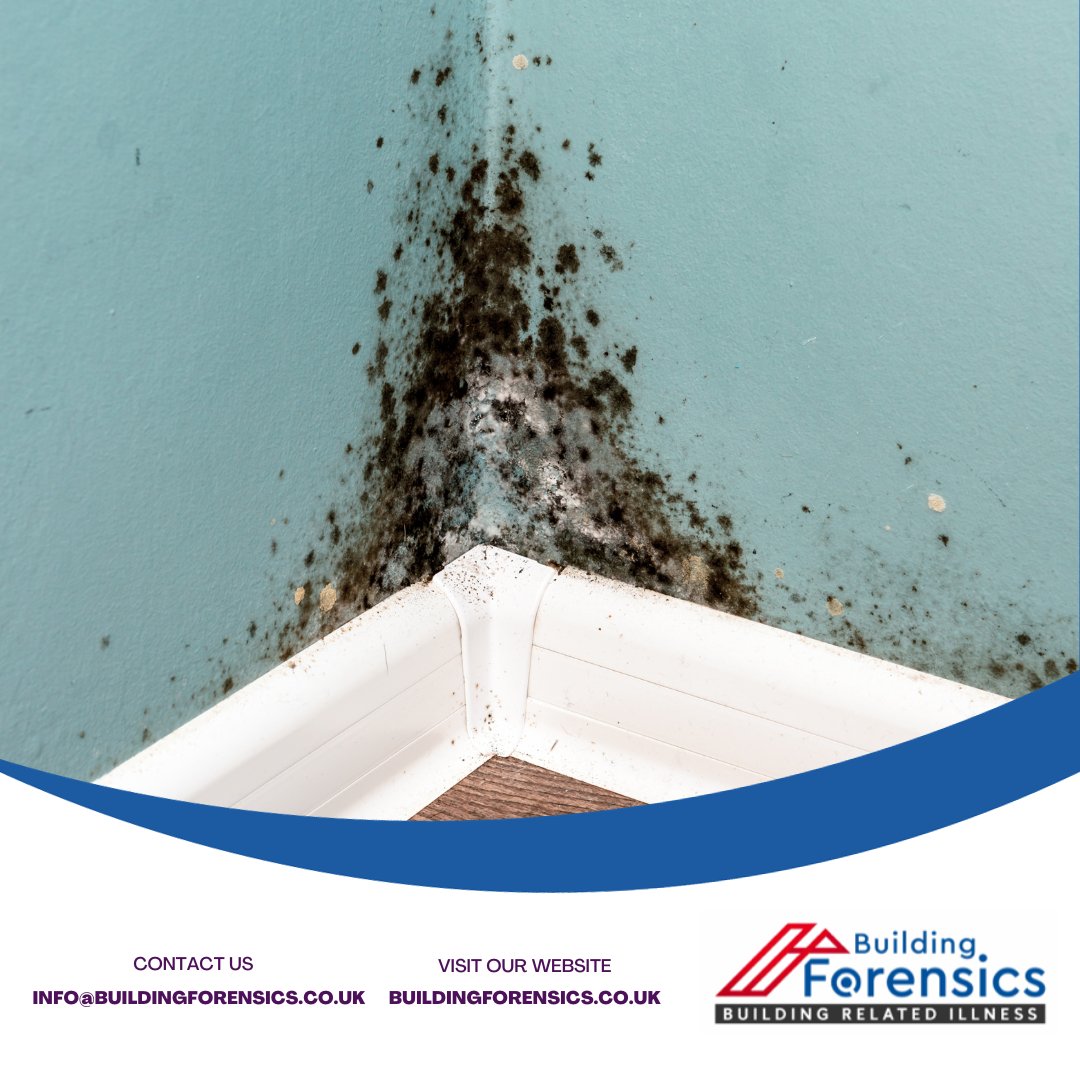 BuildingForens's tweet photo. Visible mould, as in the picture, is easy to see, but invariably, what you can’t see affects your health.

https://t.co/b4oRwGI1Wh

#mould #damp #contamination #buildingforensics #mouldtest #mouldpoisoning #asthma #hometoxins #toxins #cleanliving https://t.co/PAPyfvh2pN