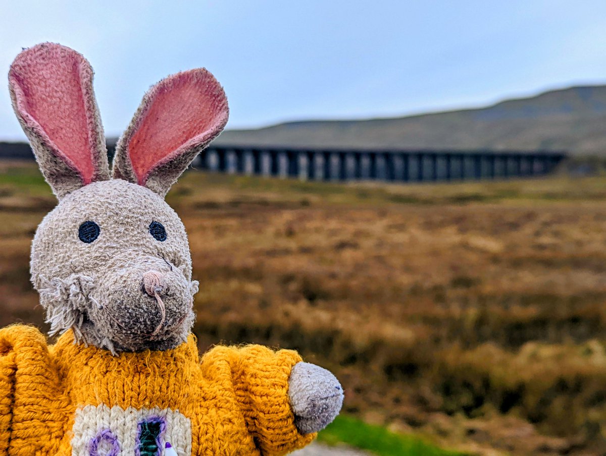 BiddieBunnies's tweet photo. Went to #Ribblehead #ribbleheadviaduct #wens #wedns https://t.co/h32jBmhTP0