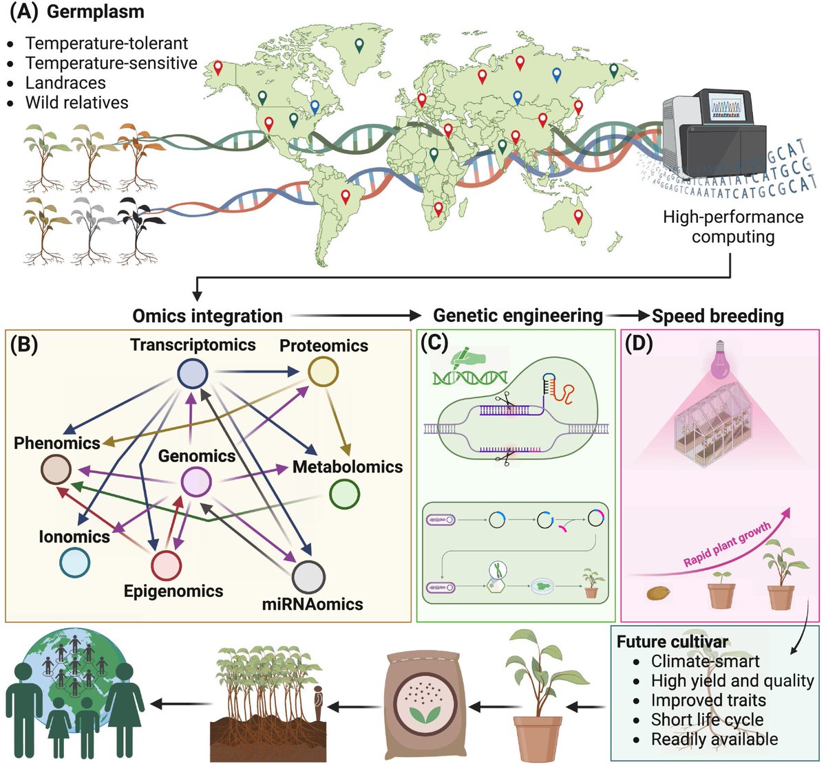 Happy to share our🆕#OA review '#Temperature🔥❄️-smart #plants🌾🪴: A new horizon with #omics-driven plant #breeding' in @PPLplantarum @wileyplantsci🤩together with @tushar131189 @RGRCopeland @SaghirAbbas @SiDDMaliCk @rosarivar @KadambotS @rajvarshney💯 🖇️onlinelibrary.wiley.com/doi/10.1111/pp…