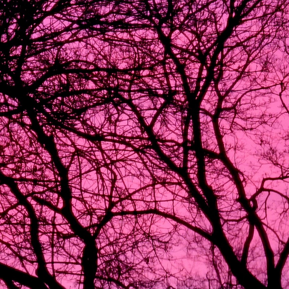 GaylaBetts's tweet image. Stunning sky this morning. 
#ChangingFast