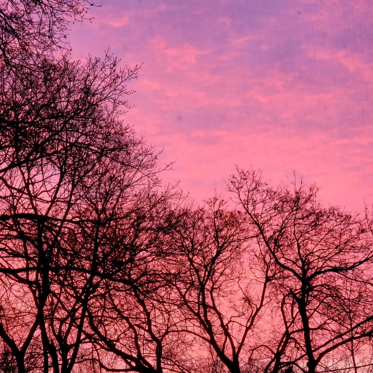 GaylaBetts's tweet image. Stunning sky this morning. 
#ChangingFast