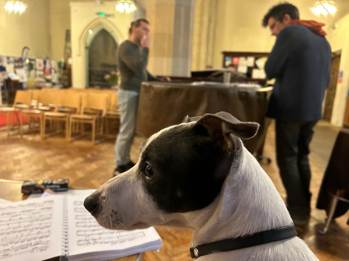 Midwalesopera's tweet photo. Rehearsals for our MainStages Tour of Verdi's Macbeth are well under way under the careful eye of #OperaDog
Thanks to @richard_studer for the pawsome photos.
#AllEyesOnTheConductor https://t.co/MzverHktfR