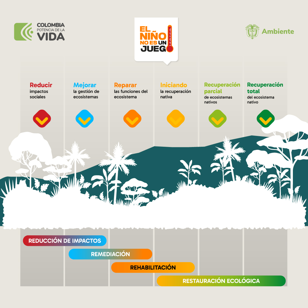 📌Restaurar ecosistemas degradados, es un tarea que requiere tiempo, paciencia y dedicación. 

Acá te contamos los pasos que se adelantan para mejorar la salud y recuperar las funciones de los ecosistemas afectados.  #ElNiñoNoEsUnJuego