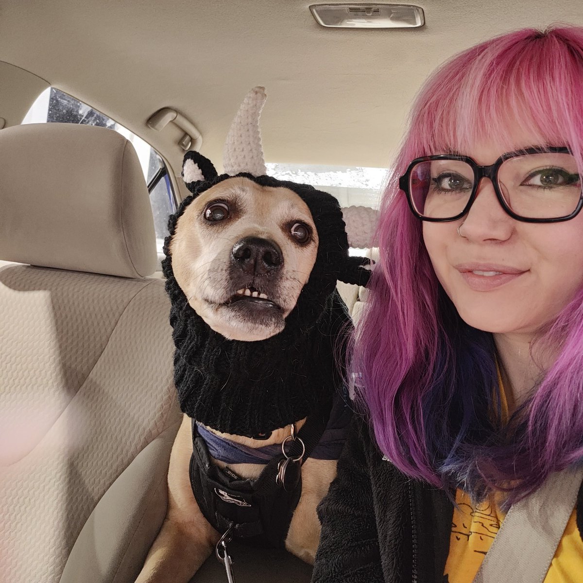 What's Your (Least) Favorite Scary Movie Podcast tweet media