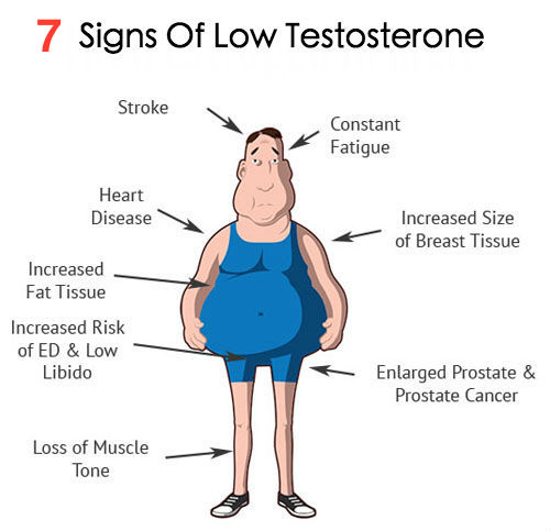 Nate Stone - Peak Testosterone & Performance on X: Men, when your  testosterone levels are low. Your physical, cognitive & sexual performance  are also low! To be a man who looks, feels