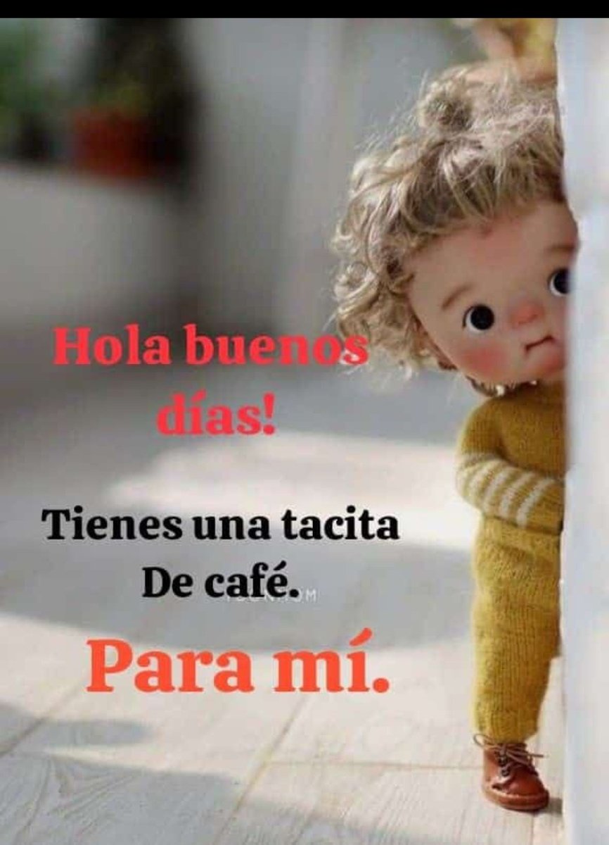 Hola buenos días, excelente miércoles, bendiciones 🌻🌻✨✨✨