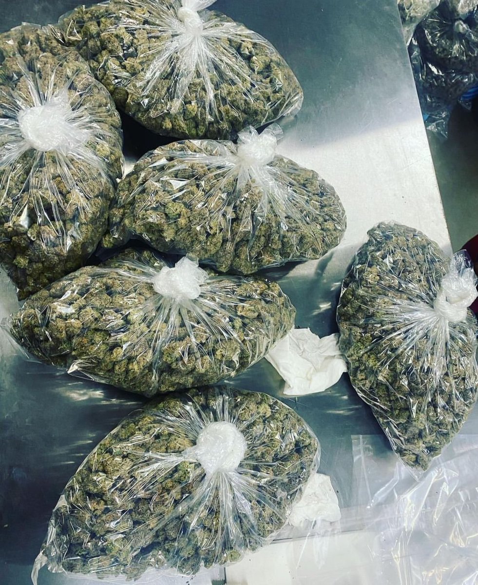 Looking nice 🥰🥰🥰🥰🥰🥰
420 Ready💨💨💨💨💨💨💨
Dm to get your ☘☘🌿🍀
#Plantmedicine #weedmob #weedlovers #weedseller #weedgrower #Cannabisforhealth #medicalmarijuana
