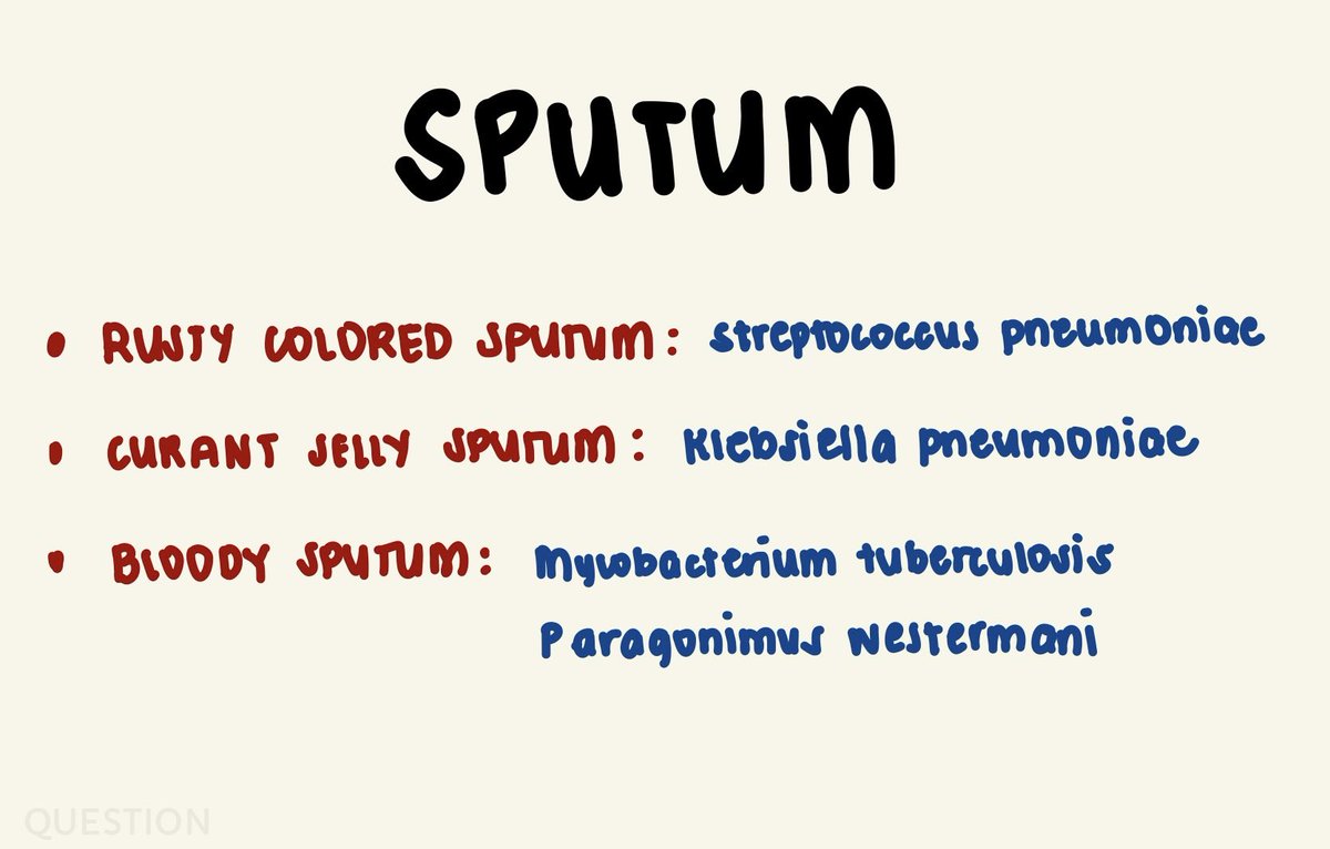 _kawaiahx's tweet photo. π SPUTUM #QuickieNotes https://t.co/73wJyIFINV