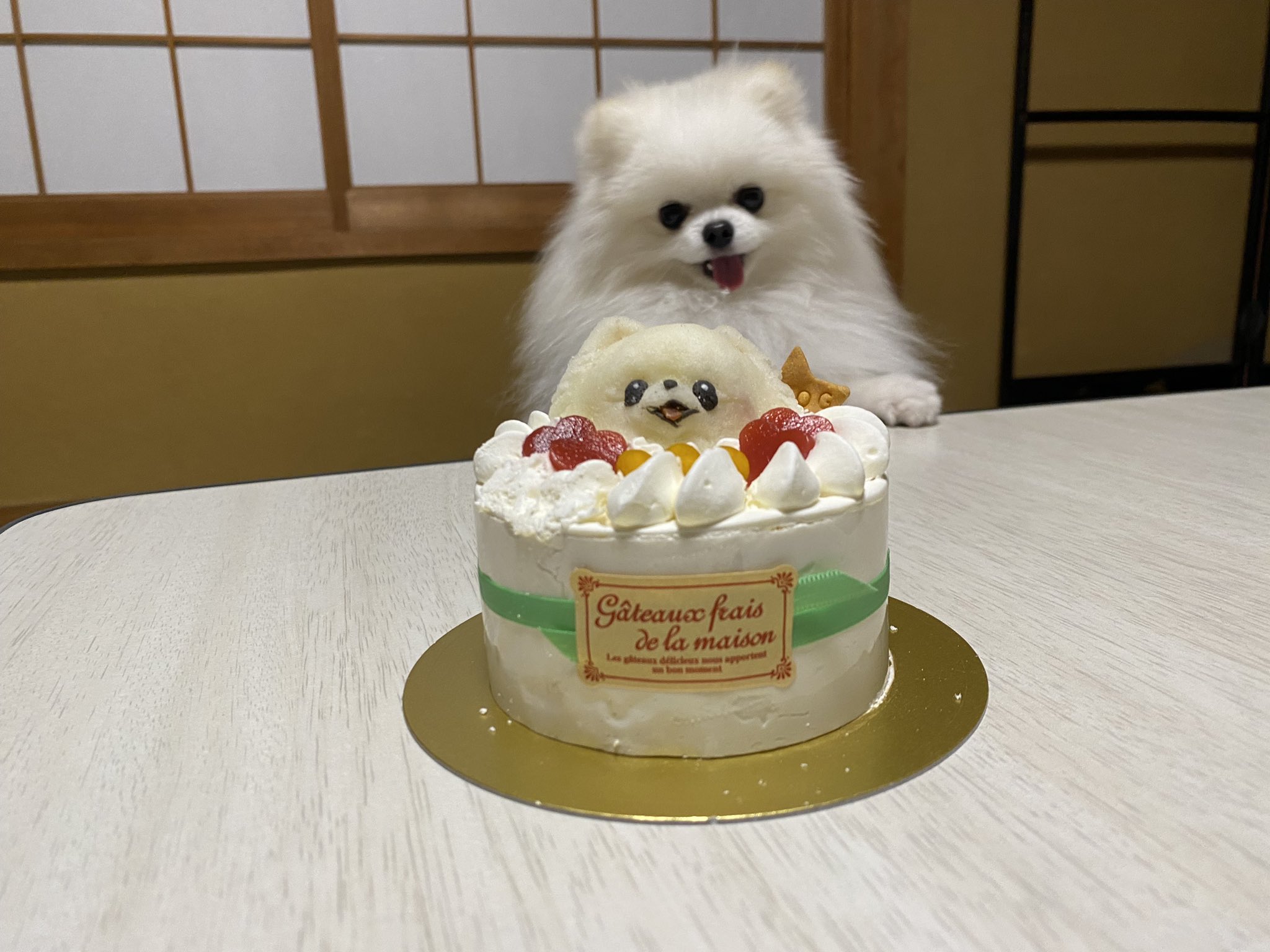 ぽめ mqdefault.jpg
