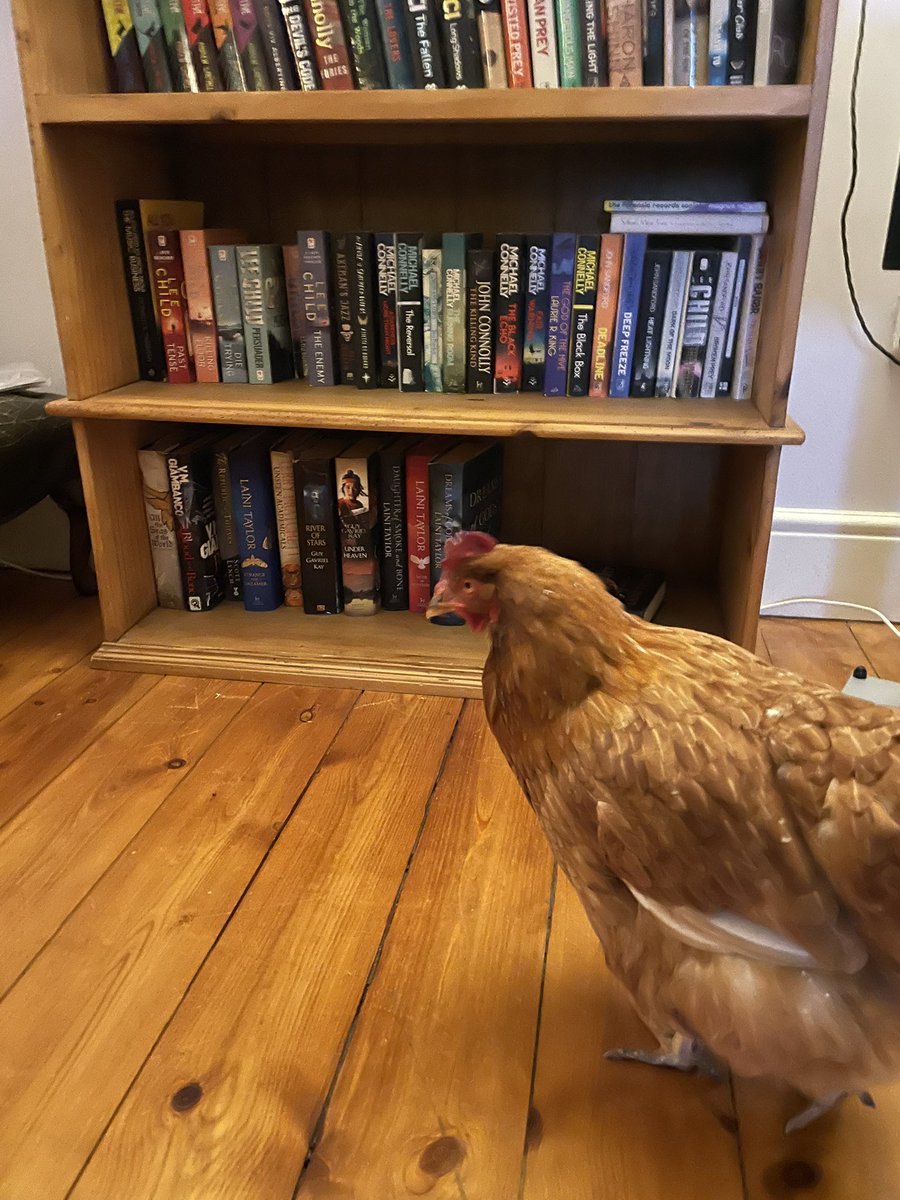 chikkinsisters tweet media