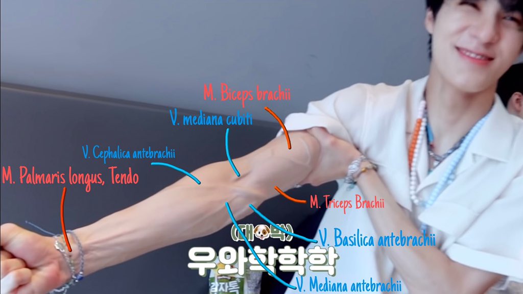 kwangyawalking's tweet photo. 제노 혈관 ㅈㄴ 잘보여서 제노로 공부한거 아직도 하거리 크게하고 ㅈㄴ웃음 https://t.co/TYDHXjnD7K