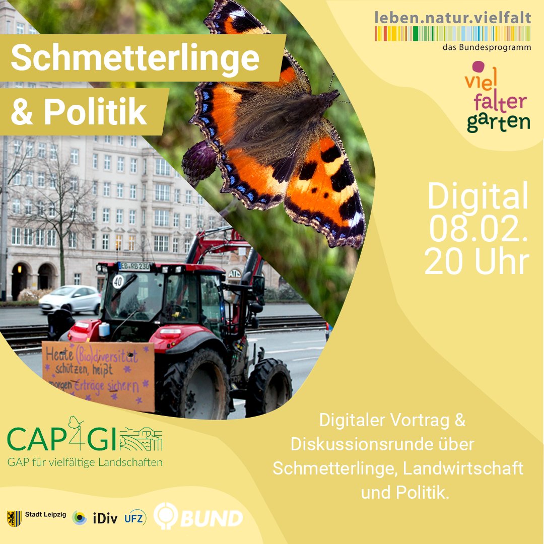Was haben #Schmetterlinge mit EU-#Agrarpolitik zu tun? Wie mit aktuellen Rückschritten umgehen?
Dr. Guy Pe'er gibt Antworten!
👉Donnerstag, 8.2.
👉20 Uhr
👉Online-Veranstaltung von #VielFalterGarten und #CAP4GI-#GAP für vielfältige #Landschaften Anmeldung👉vielfaltergarten.de/veranstaltunge