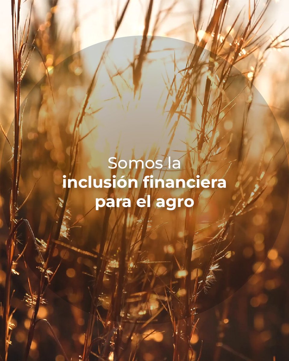 Agree 🌾 La Fintech del Agro tweet media