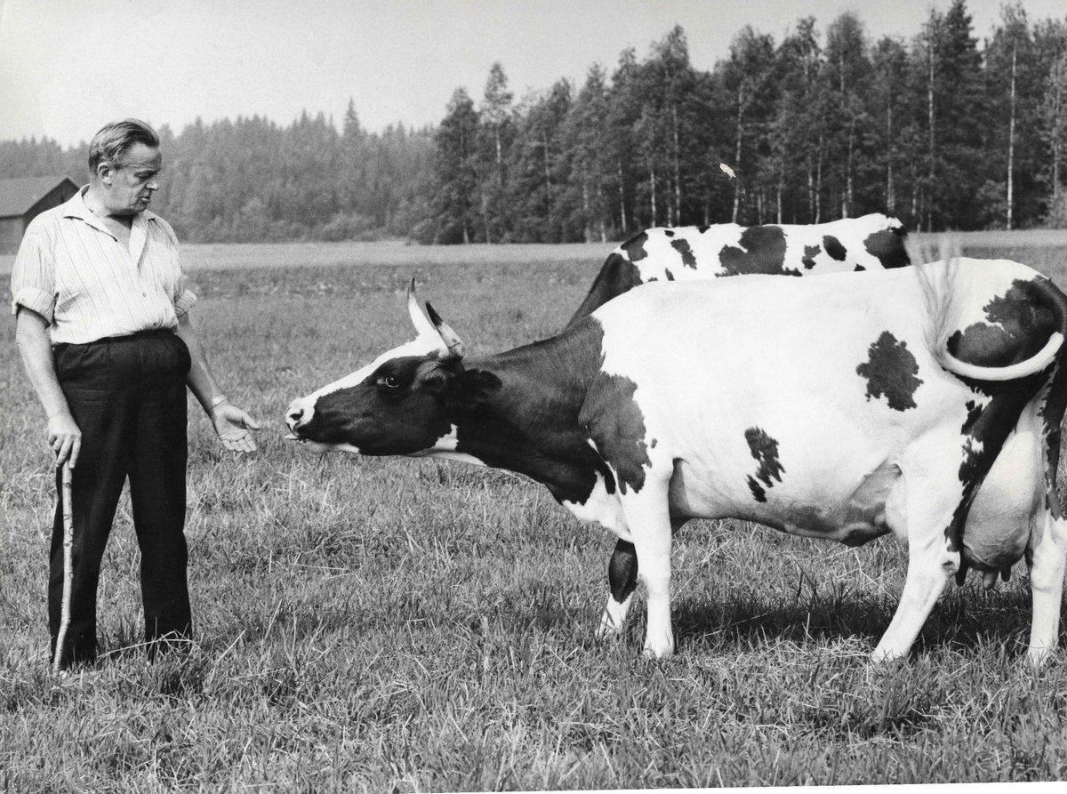 Marko Paavilaiselle historiallisten elämäkertojen tekeminen on syvällistä tutustumista henkilöön, joka ei enää ole täällä. Tuorein tuttavuus on Matti Virkkunen - KOP:n pääjohtaja, ”konservatismin kokkamies” ja presidentti Urho Kekkosen haastaja. wihurinrahasto.fi/media-arkisto/…