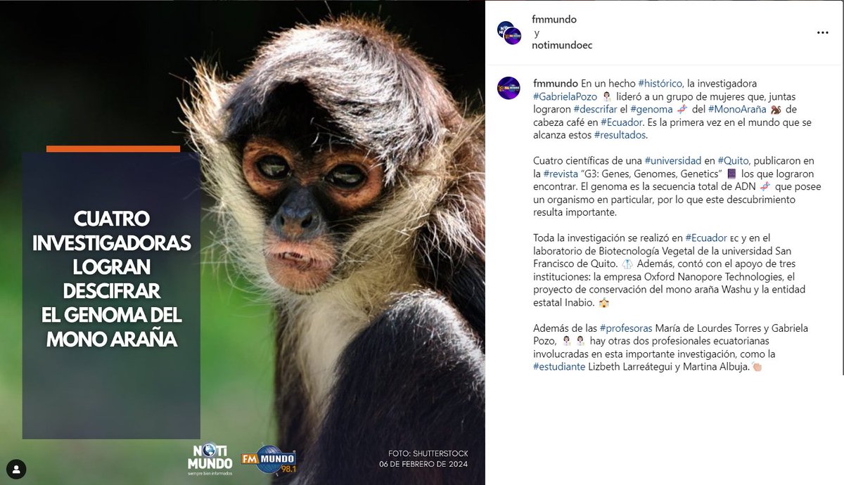▶️#INABIOEnMedios | Investigadores del Laboratorio de Biotecnología Vegetal de la <a href="/USFQ_Ecuador/">Universidad San Francisco de Quito</a>, #INABIO y Proyecto Washu/Fundación Naturaleza y Arte reportan la primera secuencia completa del genoma y el ensamblaje del mono araña ecuatoriano de cabeza marrón. Nota <a href="/notimundoec/">NotiMundo</a>