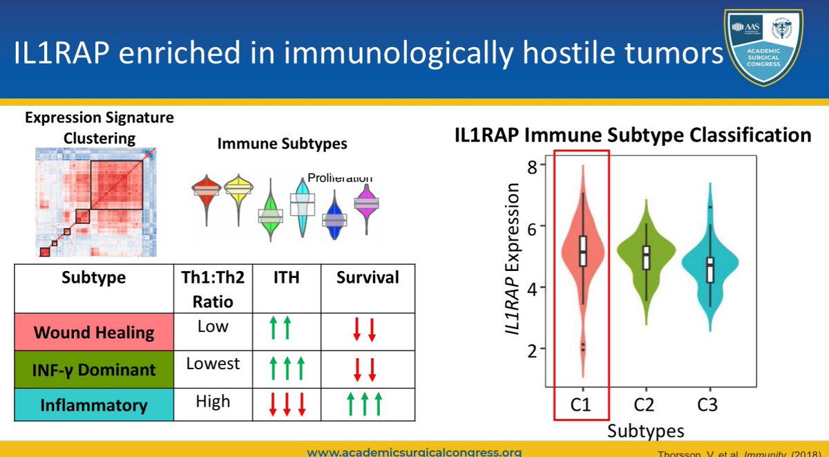 Super proud of @theNCI #T32 research fellow @DrEMDickey from #DattaLab on her FIRST ever oral presentation #ASC2024 @AcademicSurgery @UnivSurg re IL1RAP overexpression & it’s assoc w/ chemoresistance➕myeloid immunosuppresion in #PancreaticCancer #ProudMentor @SylvesterCancer