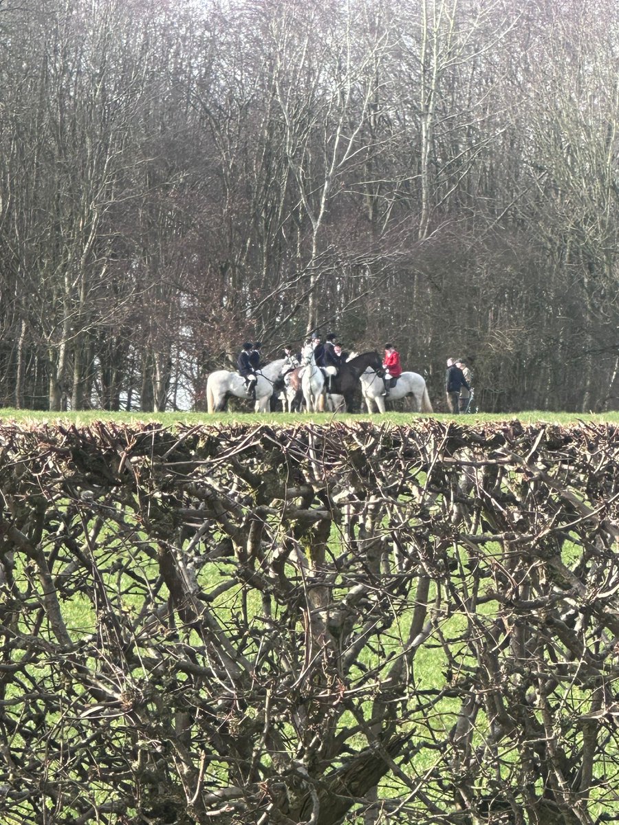 Cheshire Against Blood Sports tweet media