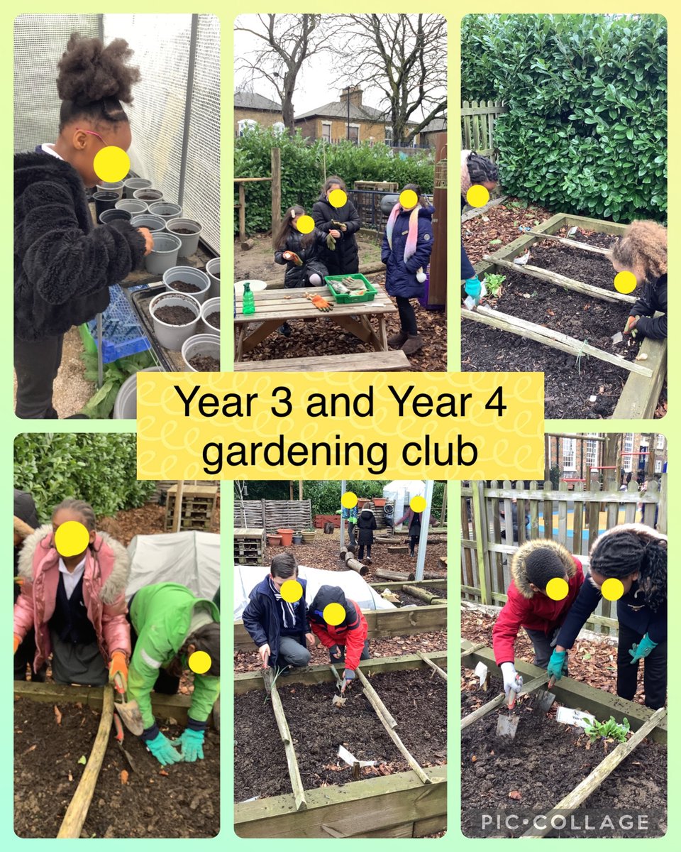 Year 3 and Year 4 gardening club have been busy planting bulbs! We have been looking for insects in Forest School! @RHSSchools
