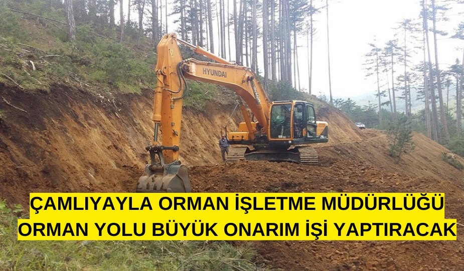 YGazetem's tweet photo. ÇAMLIYAYLA ORMAN İŞLETME MÜDÜRLÜĞÜ ORMAN YOLU BÜYÜK ONARIM İŞİ YAPTIRACAK
https://t.co/faTyoupwLD
#ilangovtr https://t.co/bzbekLmBNk