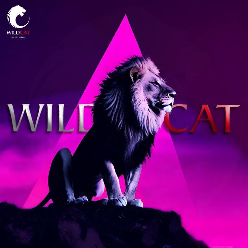 Descubre el impulso que transforma tus metas en logros extraordinarios. ⚡️🔋 #PowerUnleashed #WildCatEnergy #Mexico