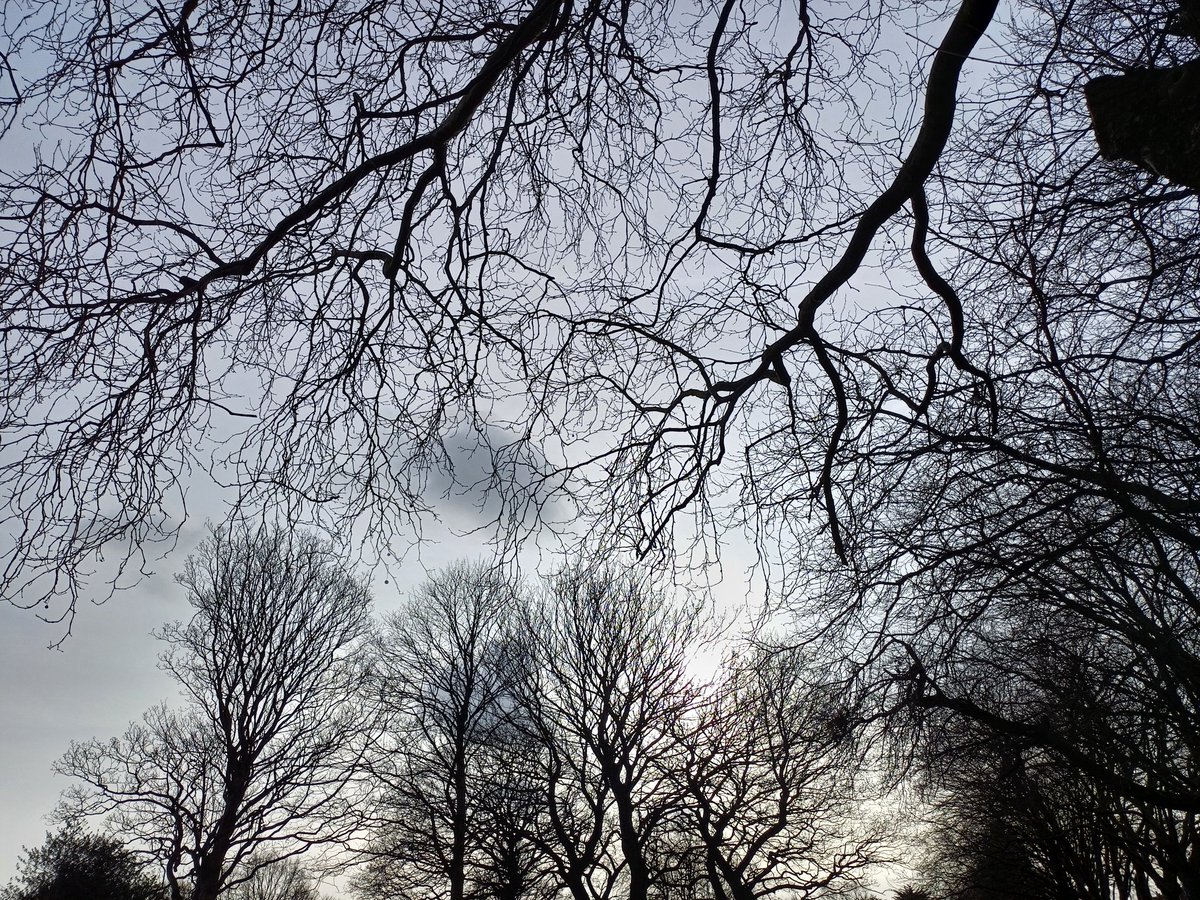 PaulDragonwolf1's tweet image. Workstroll: Tracery