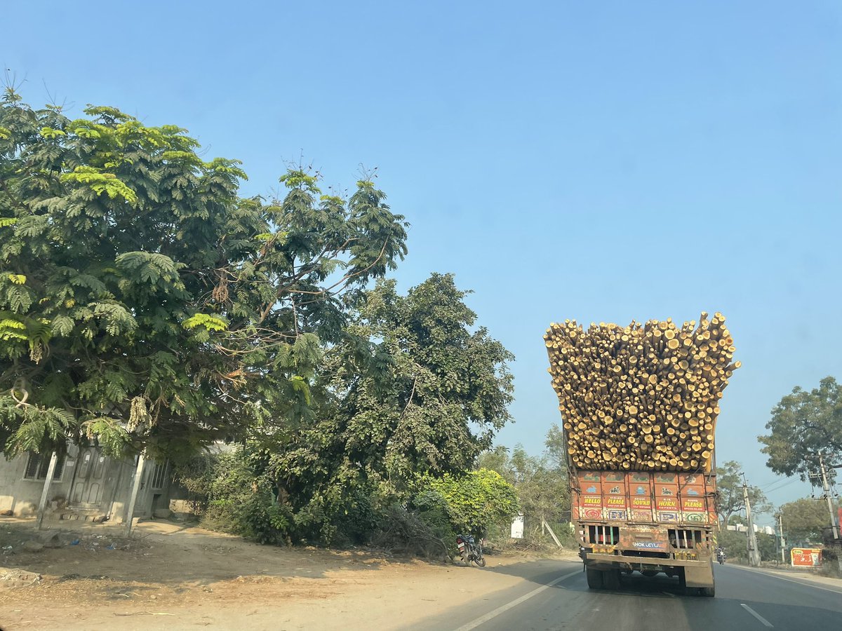 msahoo626's tweet photo. Pictures speak 🗣 itself 

#deforestation #SoilForClimateAction #regenerativeagriculture https://t.co/epMibG5NPi