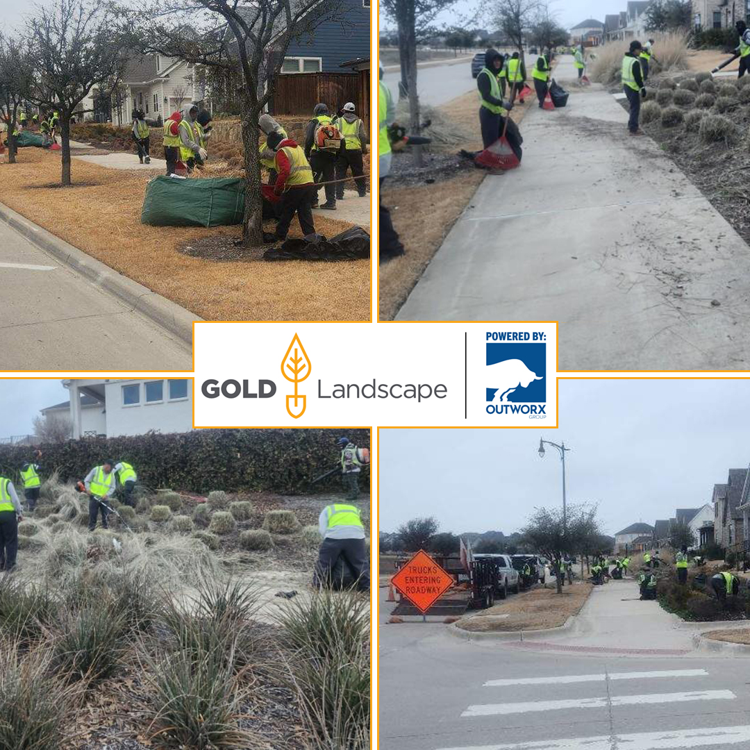 goldlandscapeTX's tweet photo. GOLD Landscape has begun landscaping cleanups for the communities we serve in preparation for the spring season. Our commitment to excellence is in every rake, every trim, and every plant we nurture.

#GOLDLandscape #SpringCleanup #PrepareForSpring #Landscaping #Outworx https://t.co/7yCBE8jBUT